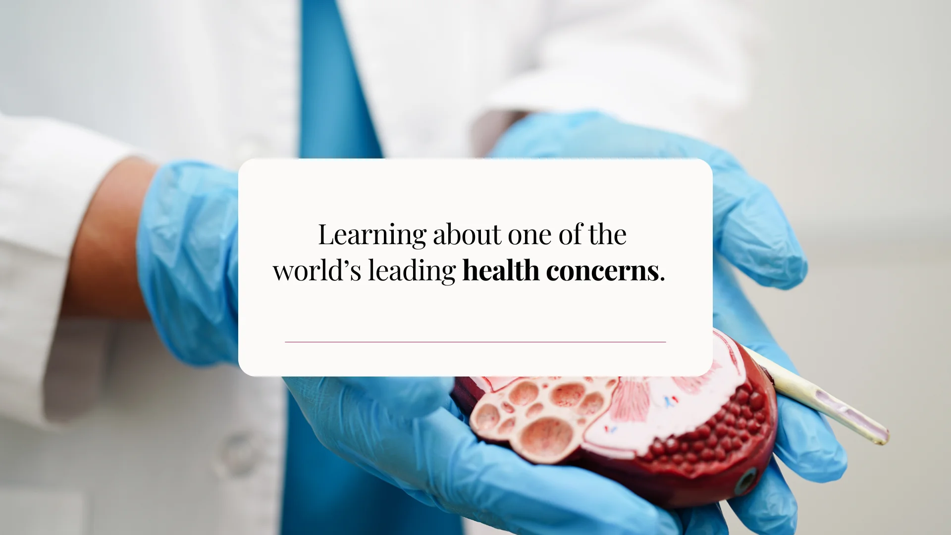 Kidney disease global health concern infographic kidney care Maplewood MN